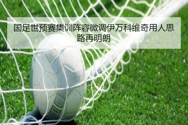 国足世预赛集训阵容微调伊万科维奇用人思路再明朗